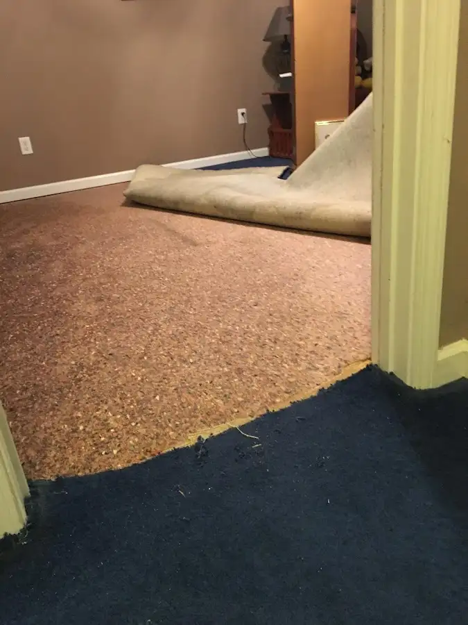 Carpet pad removal revealing water damage during Drying & Dehumidification in El Cerro Mission
