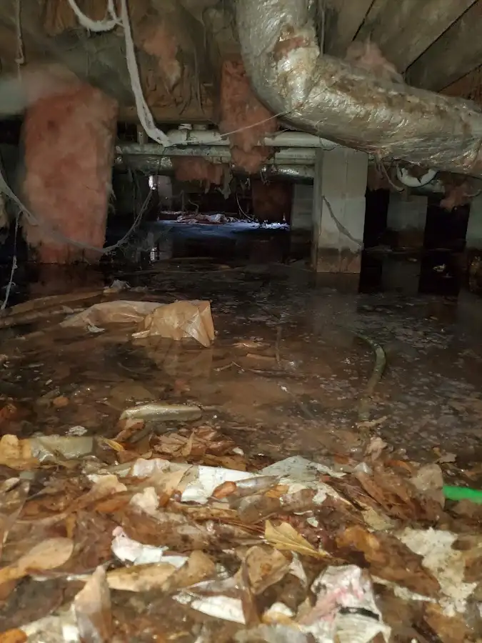 Crawl space flood assessment for Commercial Water Damage Restoration in El Cerro Mission